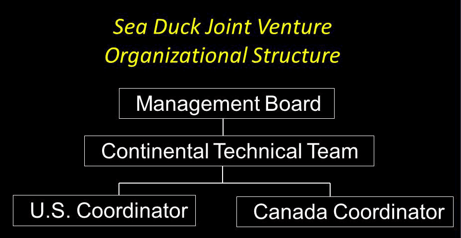 SDJV Organizational Structure