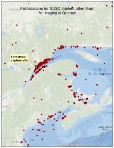 Fallstaging_locations_of_SUSC_marked_NOTin_Quebec_2014 (2)