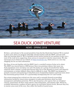 Sea Duck Joint Venture Newsletter Spring 2018