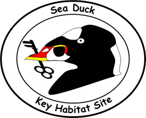 Sea Duck Key Habitat Sites Atlas