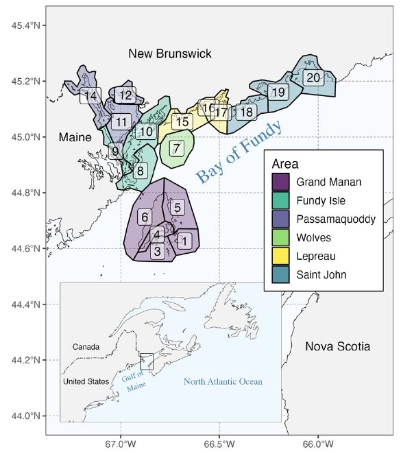 The 18 Canadian Wildlife Service coastal survey blocks overlapping spring aerial surveys for male American Common Eider (Somateria mollisima dresseri) in the Bay of Fundy, New Brunswick, Canada. 