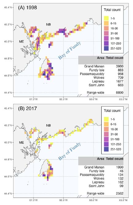 Past (1998) and recent (2017) distribution and abundance of male American Common Eider (Somateria mollisima dresseri) on spring aerial surveys in the Bay of Fundy, New Brunswick, Canada.