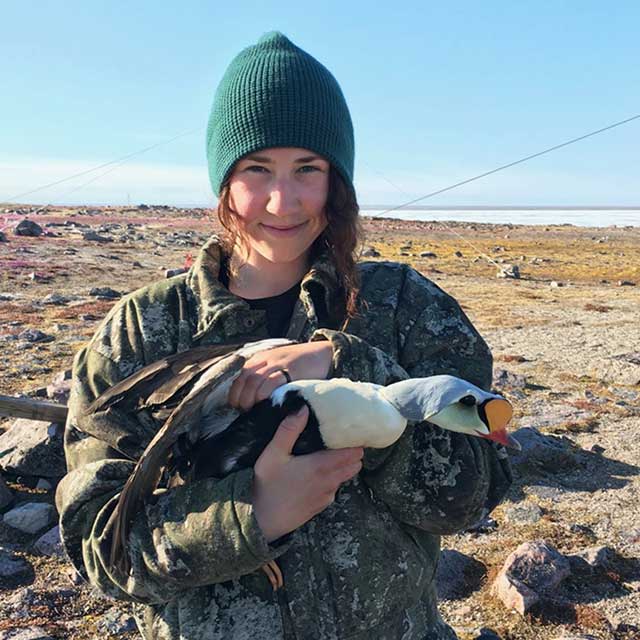 SDJV Student Fellowship Feature: Reyd Dupuis-Smith, Polycyclic Aromatic Compound (PAC) contamination and health implications in common eider ducks at a diesel spill site and a reference site in Nunatsiavut, Canada