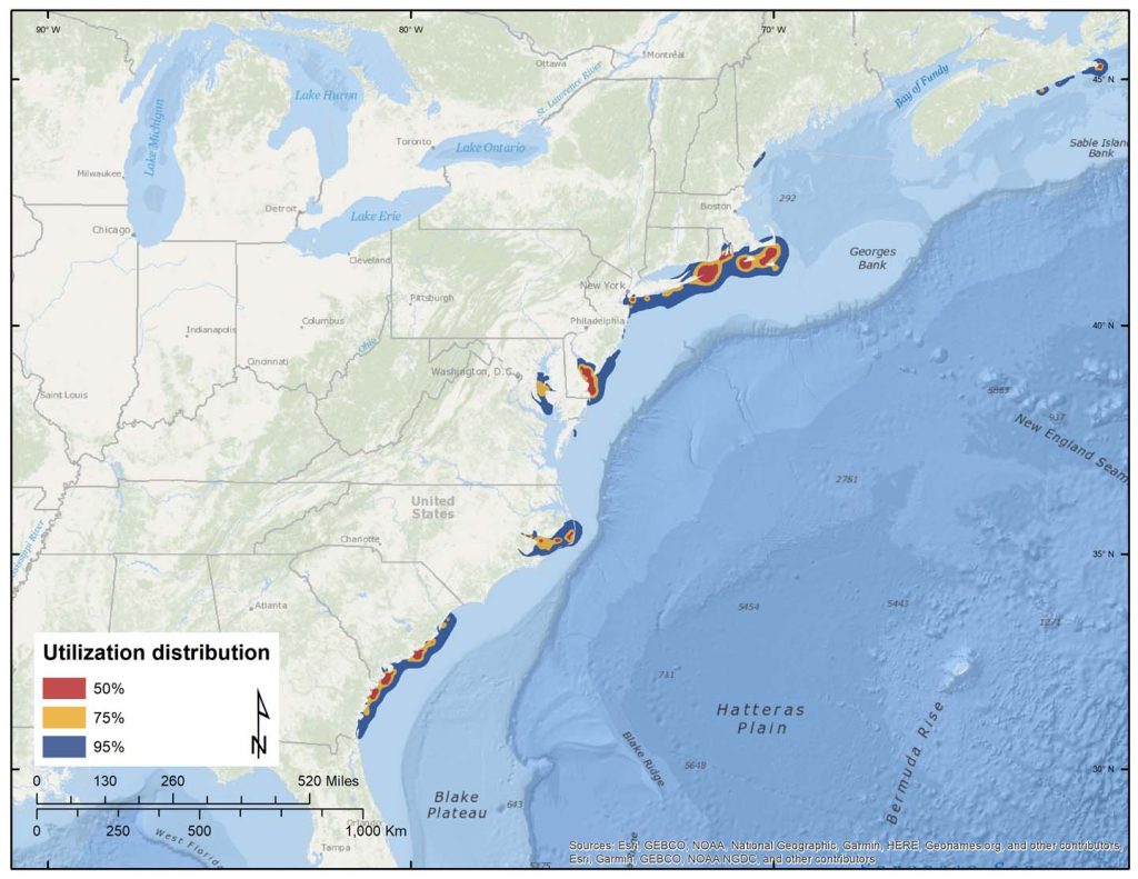 Figure 7. Dynamic Brownian-bridge movement models of wintering areas for 61 adult Black Scoters.