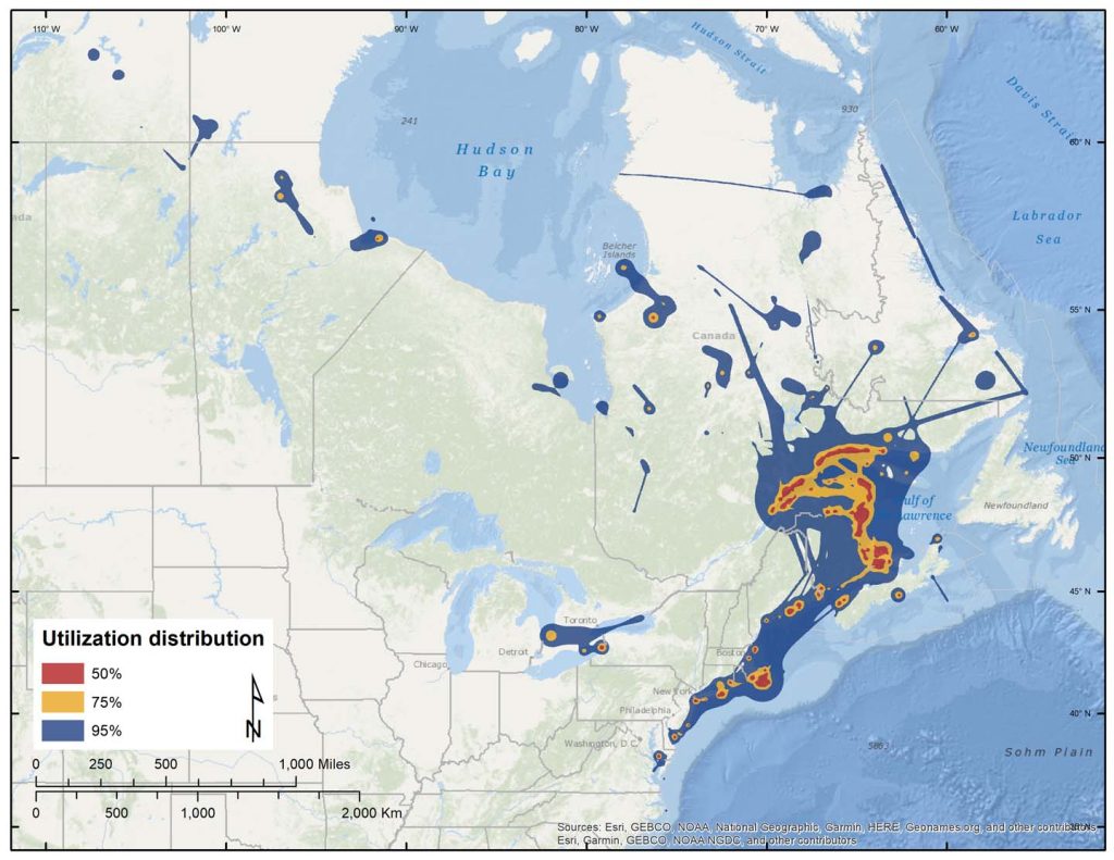 Figure 9. Dynamic Brownian-bridge movement models of spring migration and staging areas for 87 adult Surf Scoters.