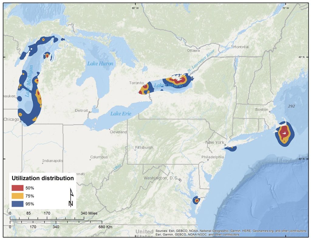 Figure 26. Dynamic Brownian-bridge movement models of wintering areas for 49 adult Long-tailed Ducks.