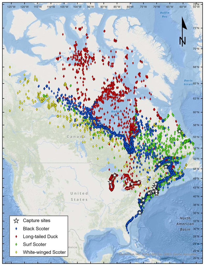 Figure 1. Geographic extent of locations determined from satellite telemetry of sea ducks marked along the Atlantic coast and within the Great Lakes. Points represent the best location per duty cycle. Locations are cumulative from October 2013 to August 2018 (all birds, all species).