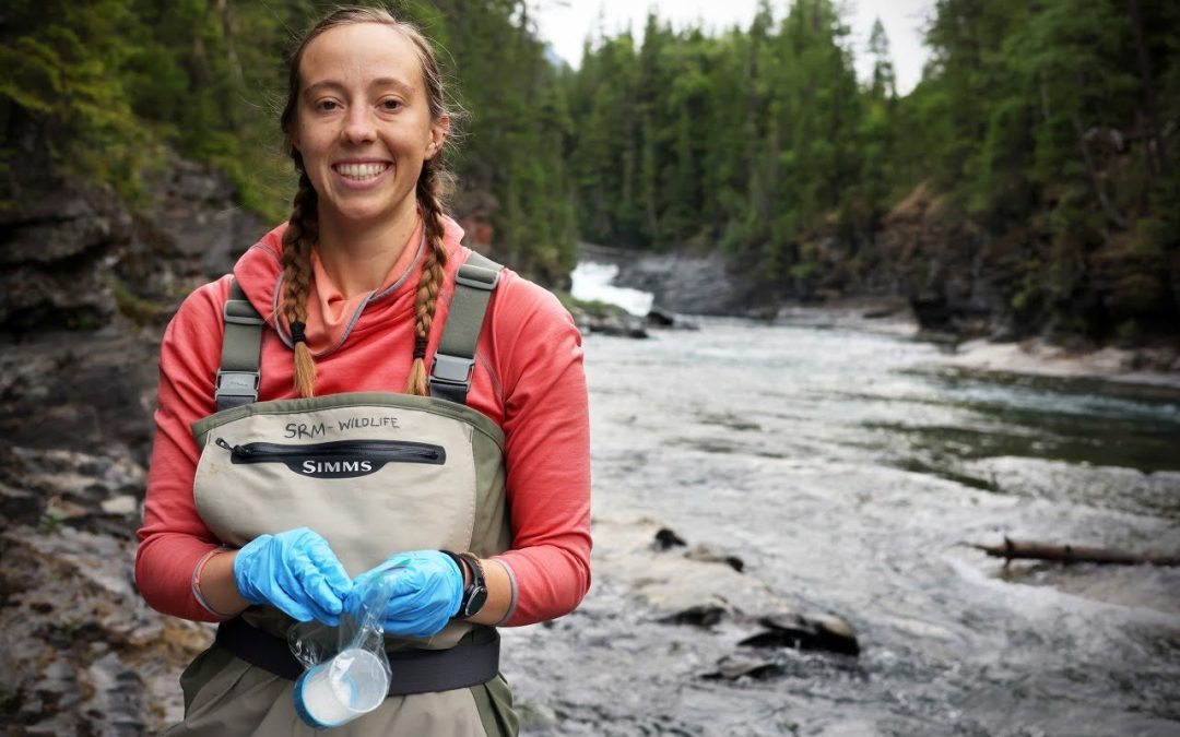 SDJV Student Fellowship Feature: Holli Holmes, Investigating non-invasive survey methods for occurrence and reproductive success of the Harlequin Duck