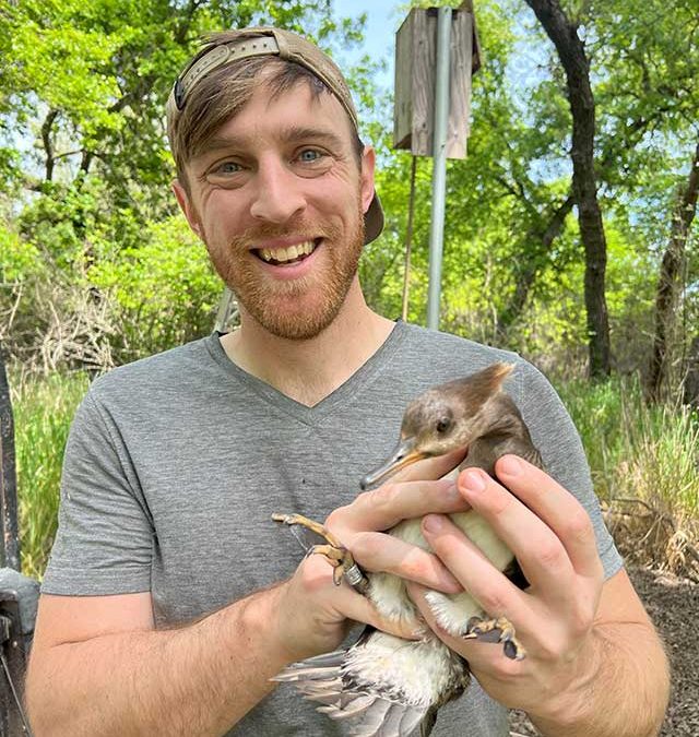 SDJV Student Fellowship Feature: Rob Blenk, Use of next-generation genomic sequencing to assess population structure for West Coast populations of Harlequin Duck