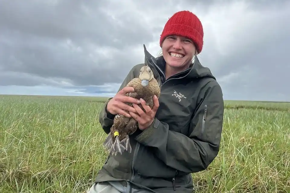 SDJV Student Fellowship Feature: Mairin Murphy