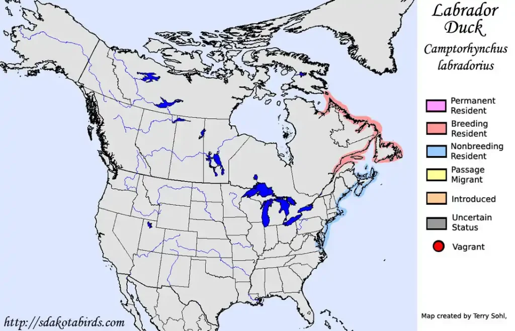 Map of the range of the extinct Labrador duck. Credit - South Dakota Birds