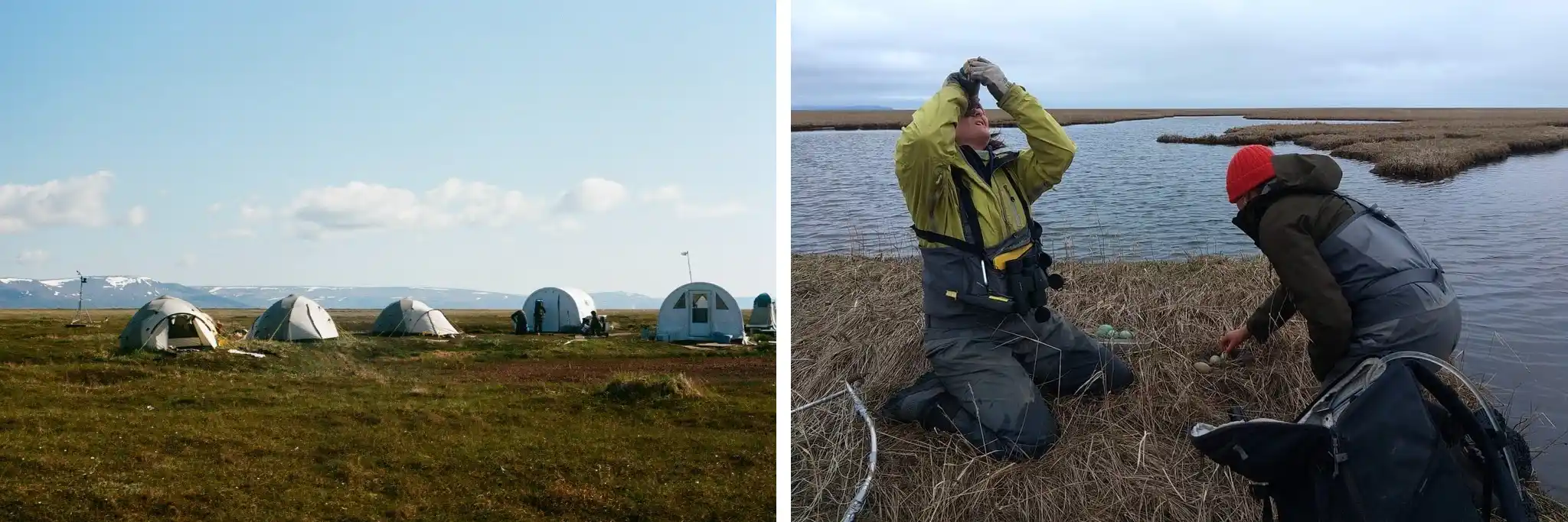 Left: USFWS field camp on the Yukon-Kuskokwim Delta. Right: Mairin conducting field work with USFWS Wildlife Biologist Ali McCarron.