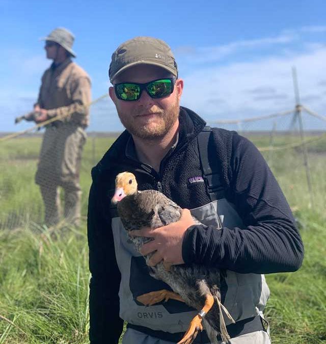Student Fellowship Feature: Jake Hewitt, Estimating annual recruitment of sea ducks in the Atlantic Flyway using age ratios