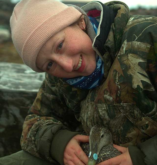 Student Fellowship Feature: Emily Macdonald, Sitting ducks: The vulnerability of nesting eiders to thermal stress in a warming Arctic